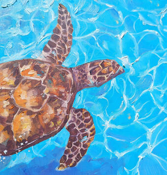 Turtle