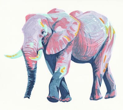 Elephant
