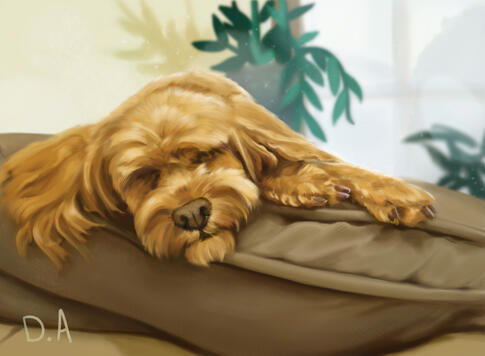 Charlie Dog